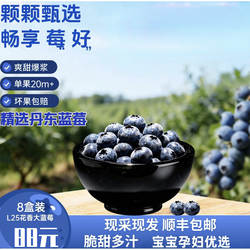 丹东新鲜蓝莓8盒现摘现发L25花香蓝莓超大果宝宝孕妇佳品顺丰包邮