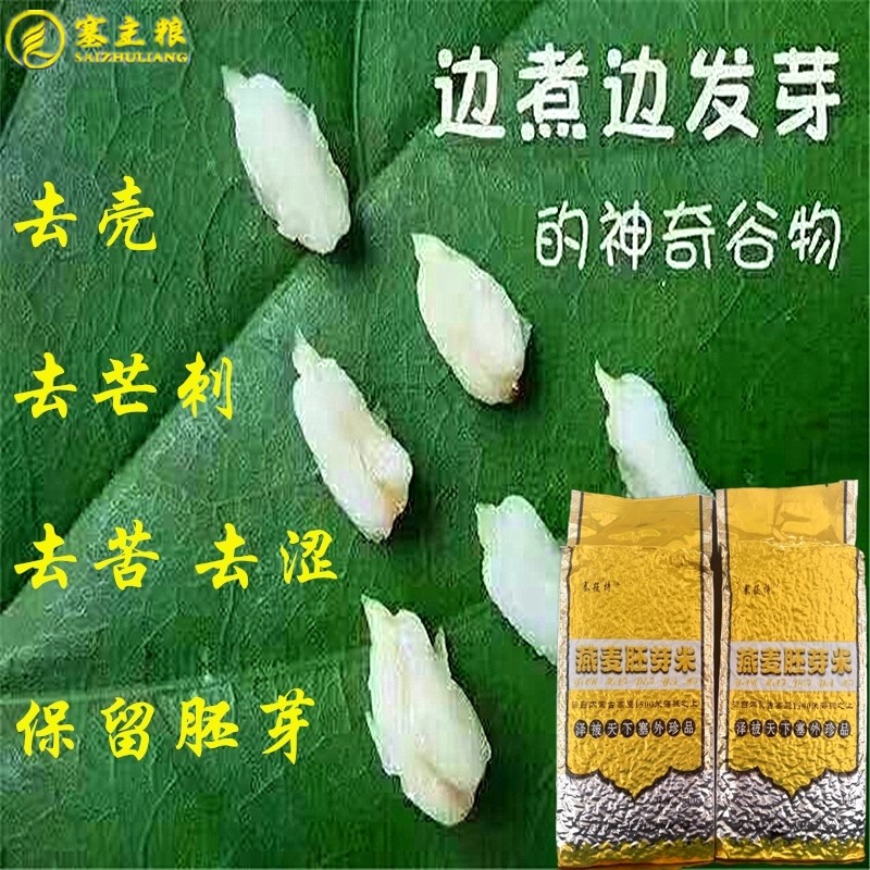 内蒙古特产塞主粮产全胚芽裸燕麦米无蔗糖代餐五谷杂粮 粗粮粥500图片