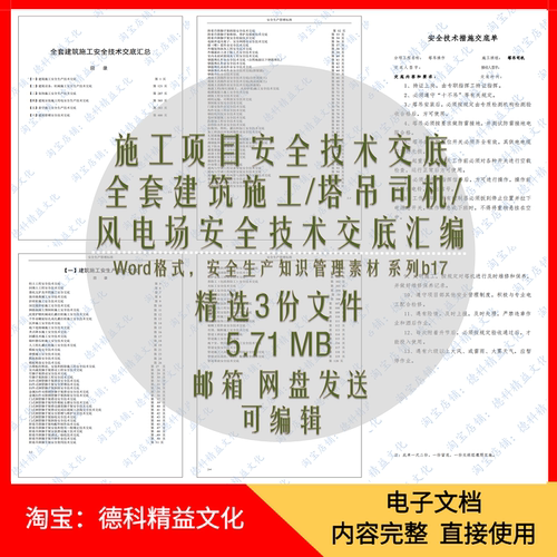 施工项目安全技术交底 建筑施工 塔吊司机 Word模板 安全管理 b17