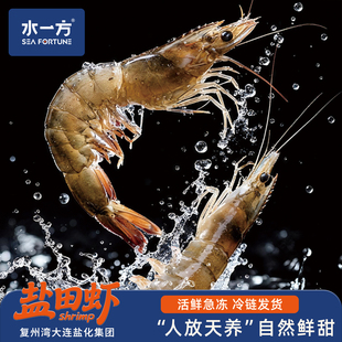 水一方盐田虾大连特产活冻海鲜渤海湾天养海虾生鲜非即食大虾海产