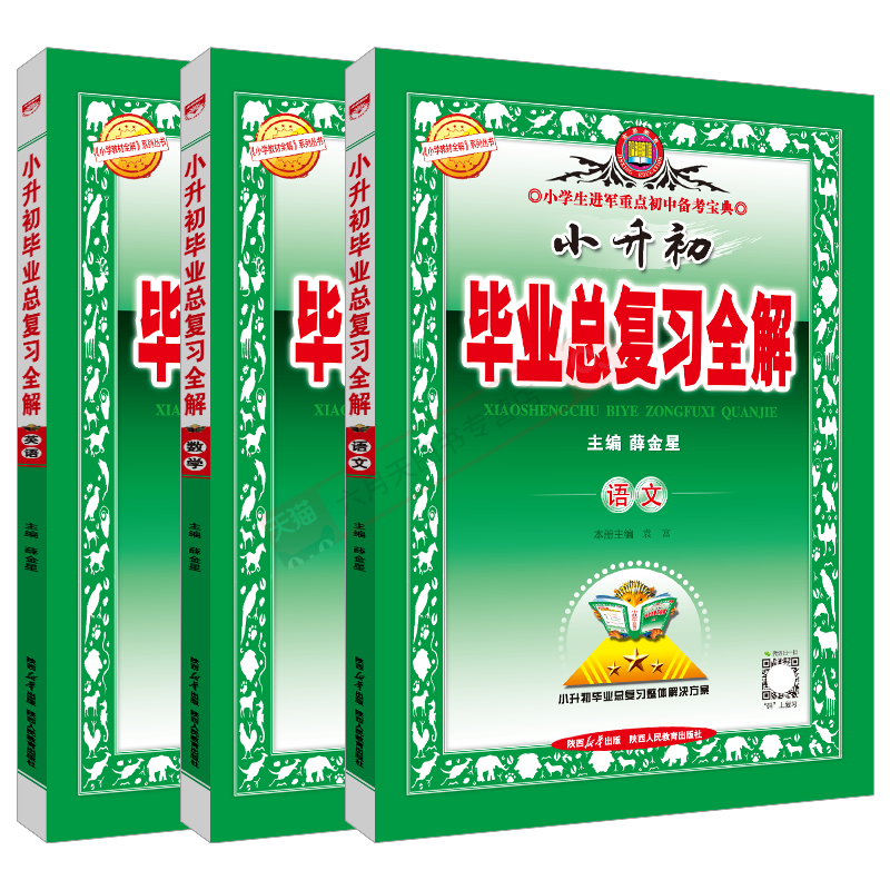 毕业总复习全解语文数学英薛金星