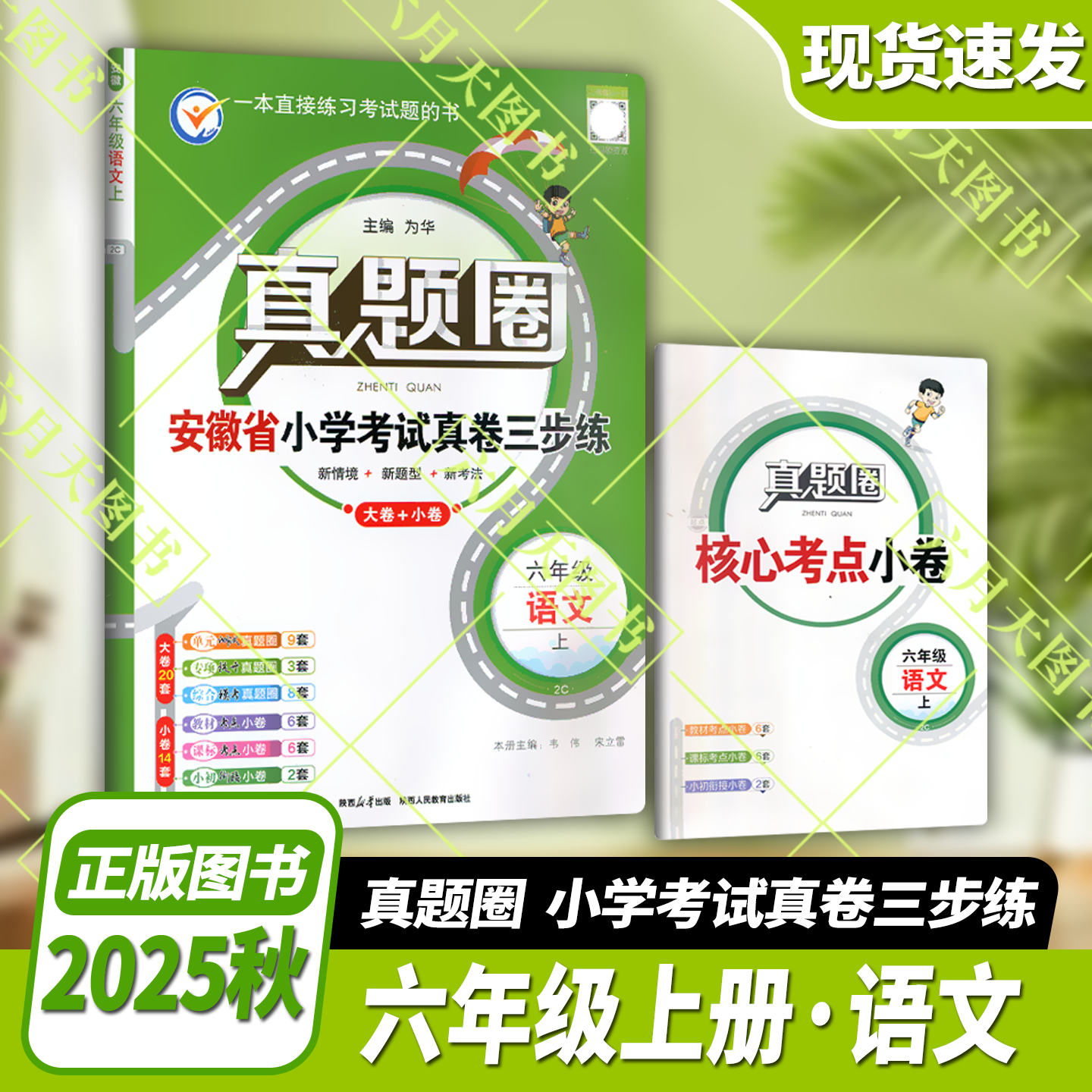 2025秋版真题安徽省小学考试