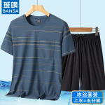 薄款夏装爸爸短袖套装男T恤运动男冰丝珠地中老年速干短裤两件套