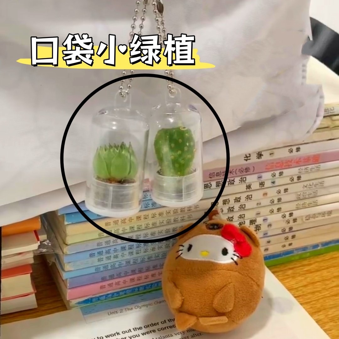 可爱创意迷你盆栽包包挂件手指仙人掌多肉网红小红薯同款解压摆件