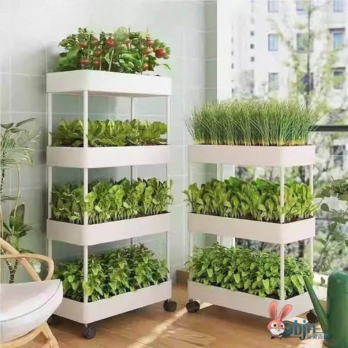 不占地多层种菜神器家庭阳台种植箱果蔬盆塑料花盆长方形槽顶楼家