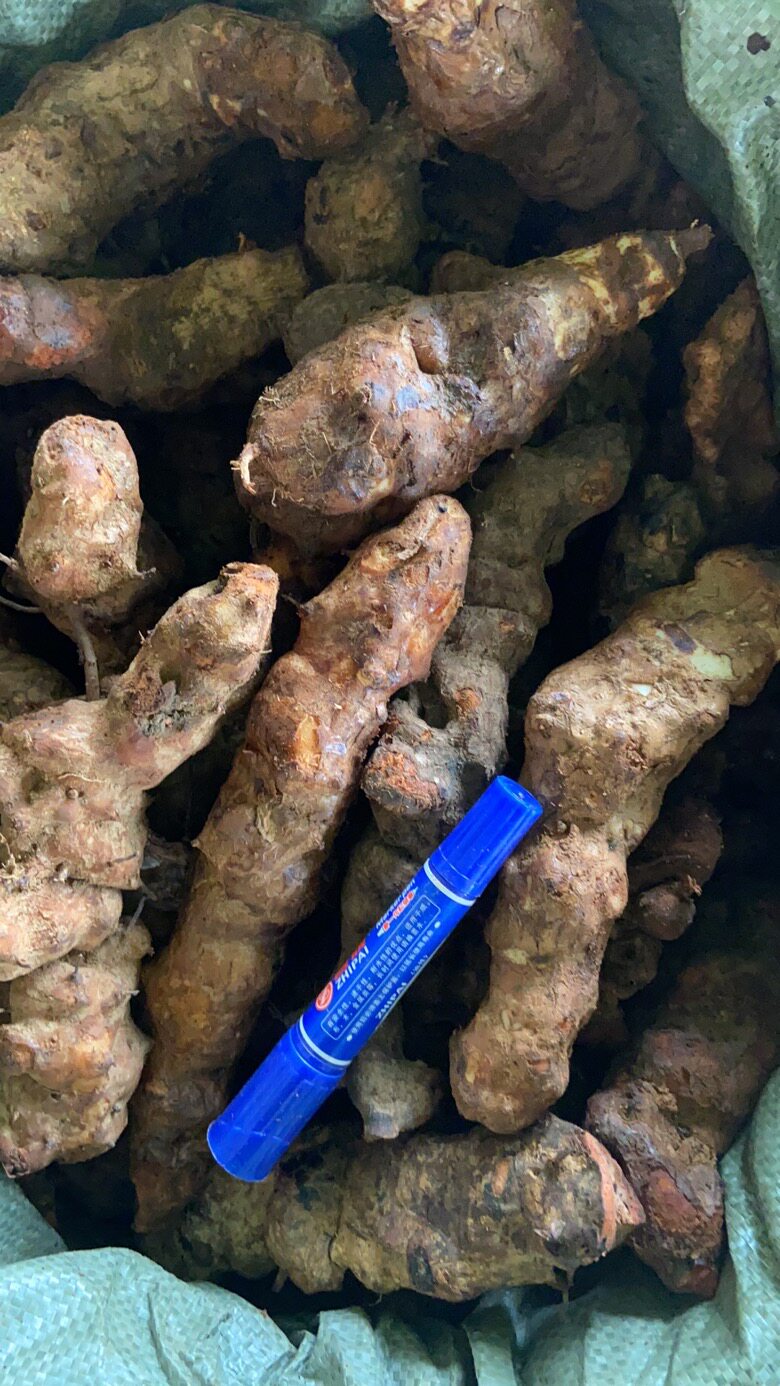 中尚野生新鲜土茯苓汤料食材无硫磺新鲜汤料药膳食材鲜货(切片)