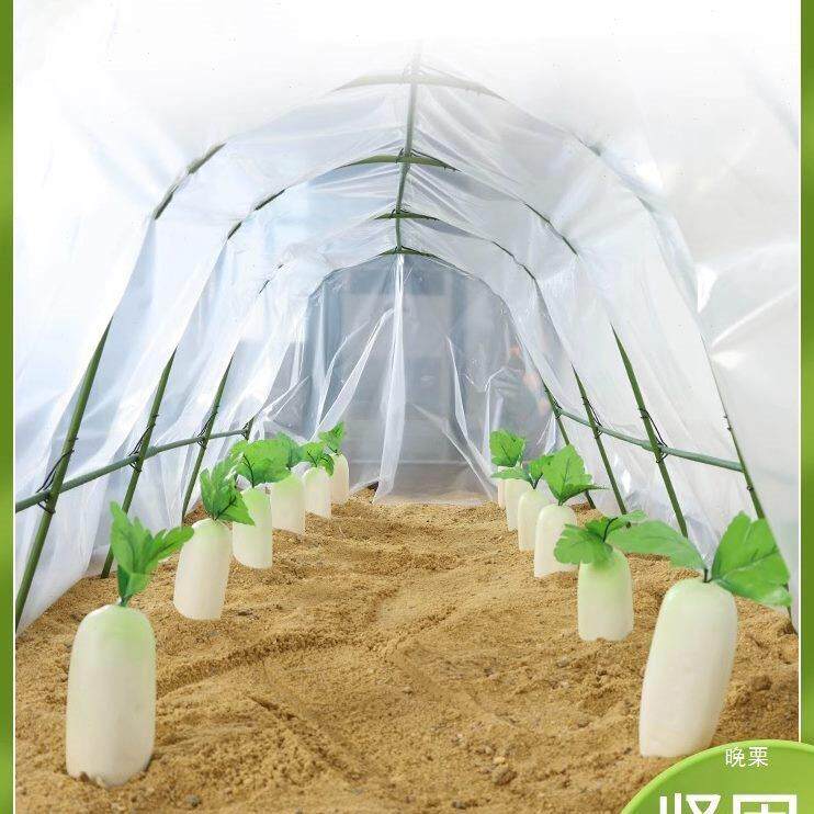 大棚骨架包塑钢管杆拱棚支架蔬菜地小棚搭棚架子拱条阳光暖棚保温