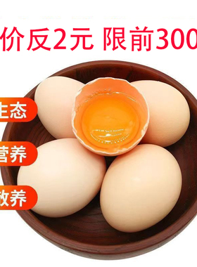 新鲜土鸡蛋40g散养10枚普通2元生鸡蛋一分钱30枚农家生鲜鸡蛋0.01