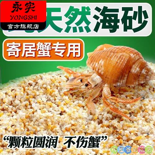 海沙居寄蟹专用砂菲律宾珊瑚沙贝壳砂鱼缸造景底沙白海细沙