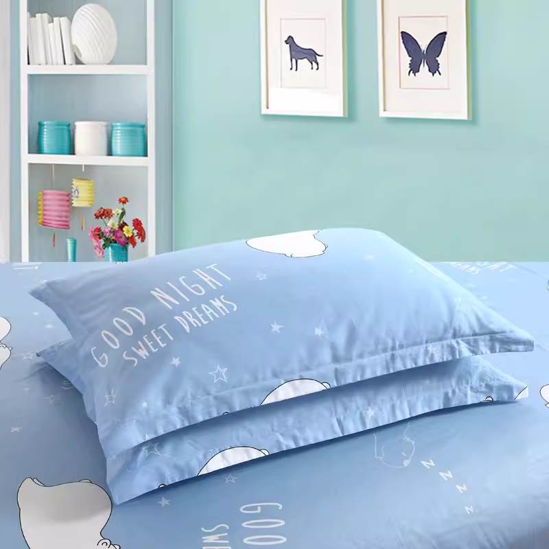 40x45x50x55x60x65x70x75x80x90加大枕套一对装48×74背靠枕