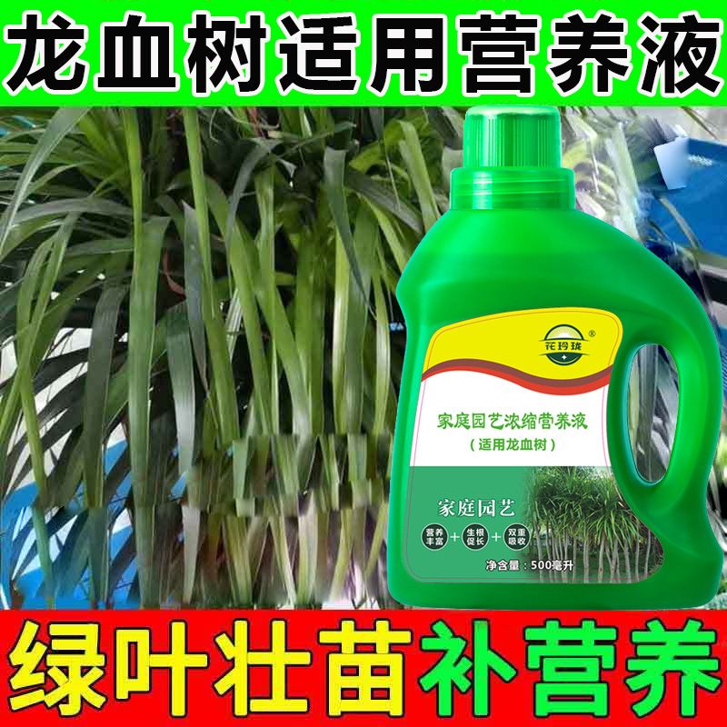 龙血树专用营养液预防黄叶烂根促长生根家用盆栽绿植液体肥促生根