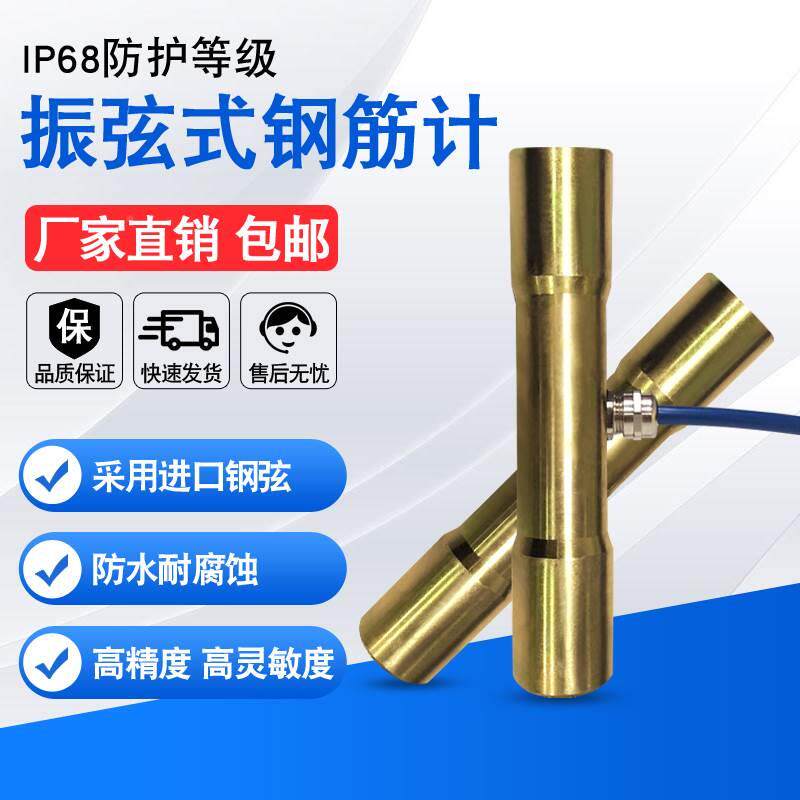 振锚弦式钢筋计计钢筋应力计钢弦式钢筋测力计22392杆计力锚索计