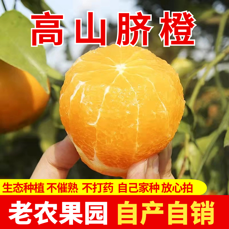 新鲜采摘纽荷尔脐橙手剥甜橙9斤