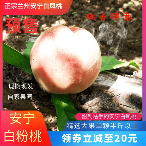 包邮正宗兰州安宁白凤桃9孕妇