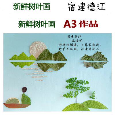 新鲜真树叶标本贴画a3或八开唐诗一路平安小鸟幼儿园手工材料包