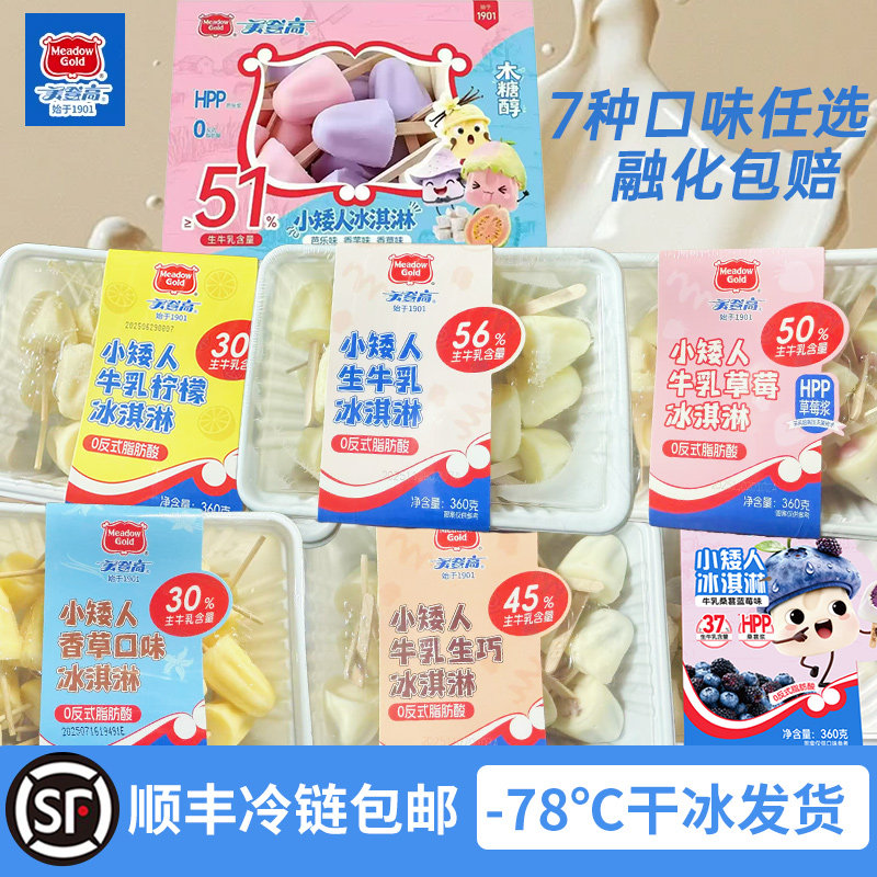 美登高小矮人冰淇淋生牛乳生巧香草莓柠檬桑葚蓝莓味儿童雪糕360g