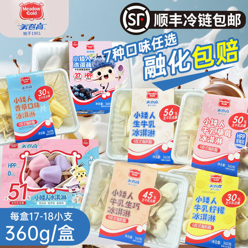 美登高小矮人冰淇淋生牛乳生巧香草莓柠檬桑葚蓝莓味儿童雪糕360g