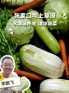 生态清凉蔬菜箱（圆白菜/莴笋/西葫芦/黄瓜） 绿手指份额农园