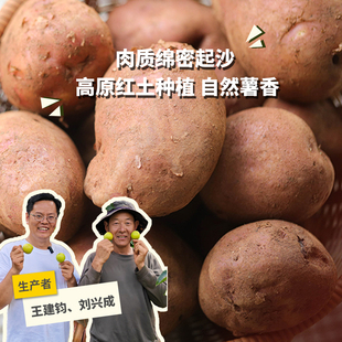 生态高原红皮土豆 绿手指份额农园