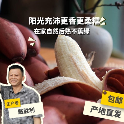 绿手指香蕉超甜，天然无添加