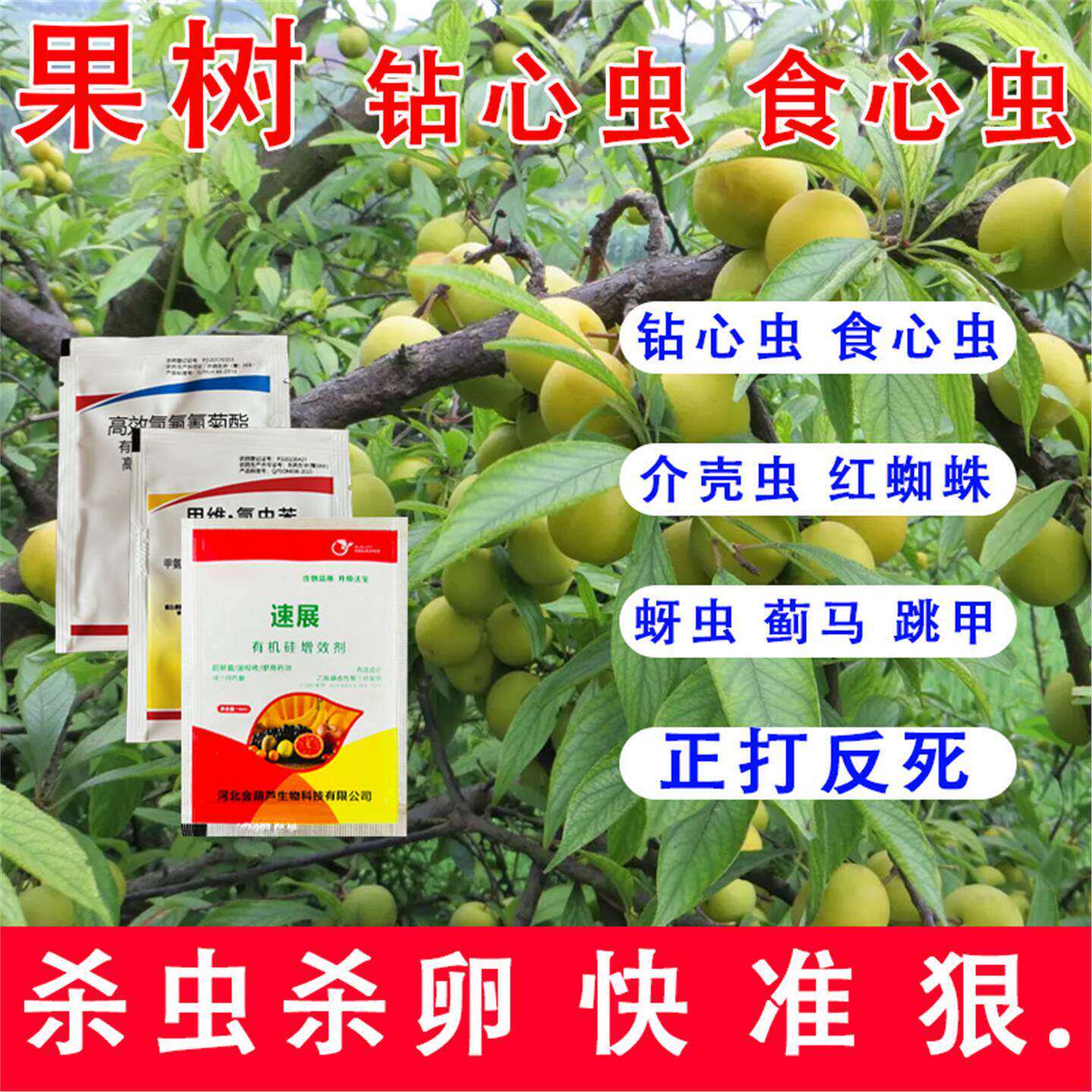 润生丰润生丰果园桃树食心虫臭虫菜青虫蓟马氯虫苯吡虫啉