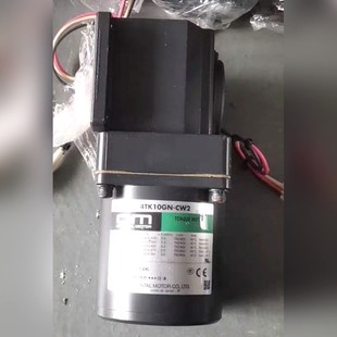 议价 CW24GN1 东方电机10W电机4TK10GN