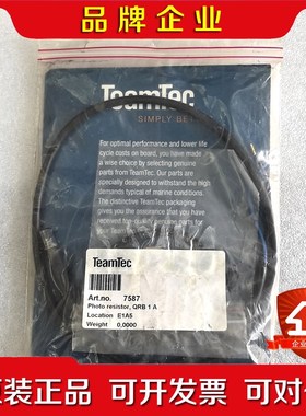 焚烧炉感光探头TEAMTEC ART.no. 7 议价