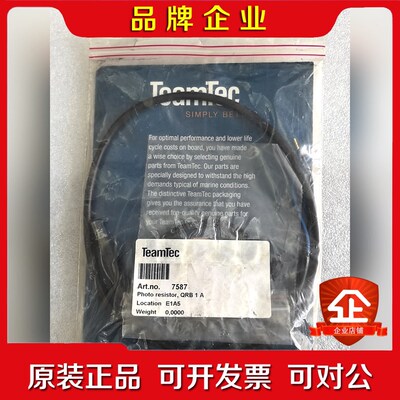 焚烧炉感光探头TEAMTEC ART.no. 7 议价