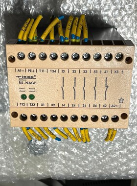 德国RIESE安全继电器 RS-NAGP AR.9601.9 议价