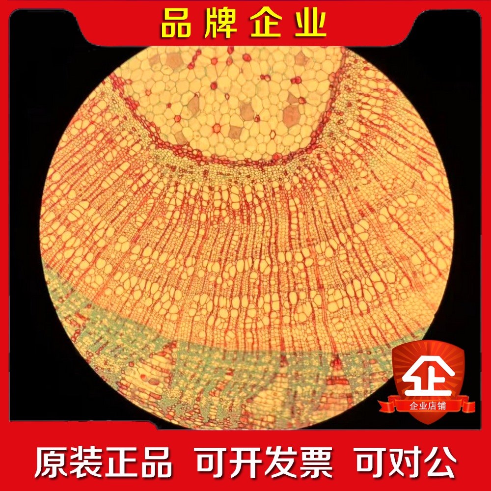 OLYMPUS奥林巴斯CX41生物偏光显微镜 议价