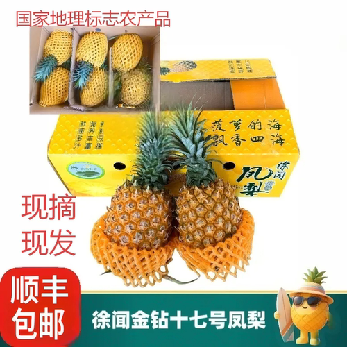 徐闻凤梨金钻十七号礼盒现摘现发广东产地直发国家地理标志农产品