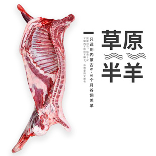 吉阳鲜正宗内蒙古精品草原散养羔羊半只羊谷饲净重10斤左右冷冻