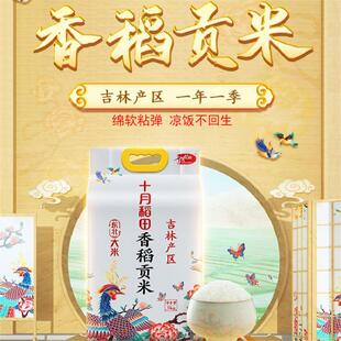十月稻田 香稻贡米 东北大米 5kg 香米 粳米 当季新米 真空包装
