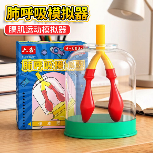 幼儿园肺呼吸气体交换实验
