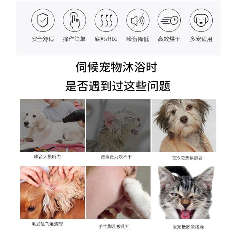 宠物烘干箱小型吹毛机家