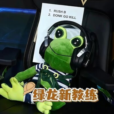 绿龙教练frog青蛙公仔科