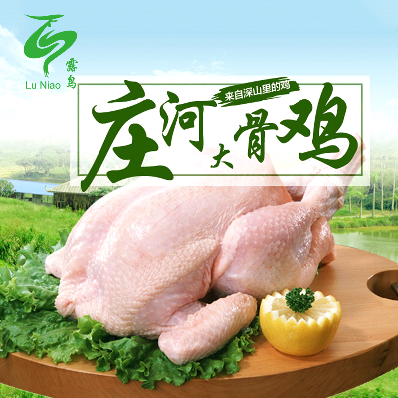 庄河特产大骨鸡散养半年公鸡2.5kg整只 包邮