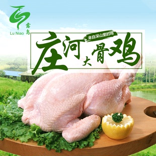 庄河特产大骨鸡散养半年公鸡2.5kg整只 包邮