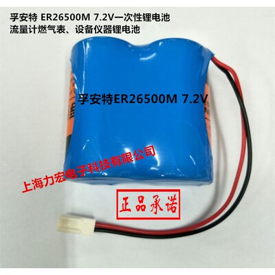 厂家授权孚安特 ER26500M 7.2V 流量计燃气表 设备仪器锂电池