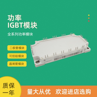 FS50R07N2E4_B11 FS100R17N3E4 FS100R17N3E4_B11全新IGBT模块