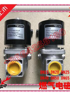 国产燃气电磁阀VAE15/VAE20/VAE32/VAE40/50/65/80/100