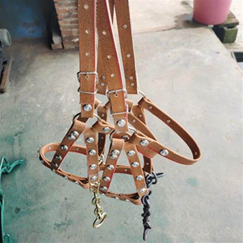 马笼头马笼套马嘴笼马嘴套牛嘴套缰绳牵马调教马龙头