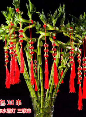 春节盆景迷你盆栽喜庆挂树装饰品