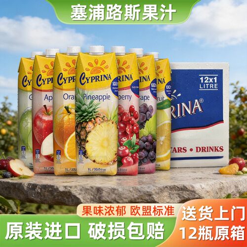 塞浦路斯果汁整箱菠萝汁橙汁饮料