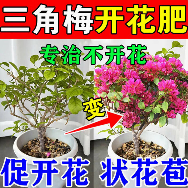 三角梅开花促花开爆花素营养肥料促花养花家用盆栽喜酸植物营养肥,鲜花速递/花卉仿真/绿植园艺,家庭园艺肥料,淘宝优惠券,粉丝福利购,淘宝优惠卷