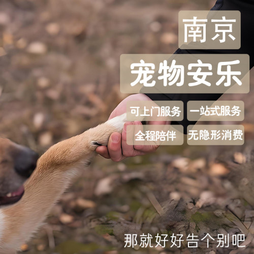 一条龙宠物善终星眠记上门服务