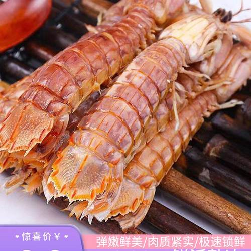 皮皮虾鲜活熟冻特大虾爬子海