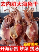 去内脏海兔干500g 新鲜乌贼笔管鱼海兔子墨鱼仔鱿鱼仔干货大号 包邮