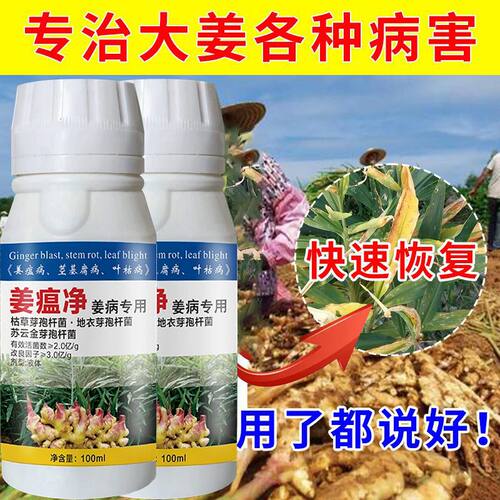 姜瘟净生姜专用菌剂强效复配套餐大姜生姜通用黄叶病干枯病斑点病