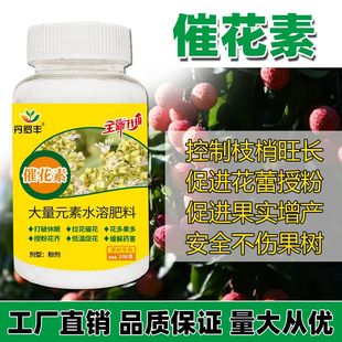 荔枝龙眼专用拉花素催花素爆满花促进花芽分化大量元素水溶肥正品